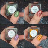 Fall 2025 Collection