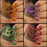 Fall 2025 Collection