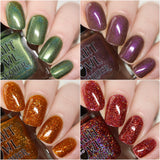 Fall 2025 Collection