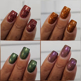 Fall 2025 Collection